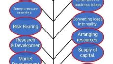 Entrepreneurship functions, Functions Of Entrepreneur
