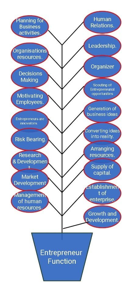 Entrepreneurship functions, Functions Of Entrepreneur