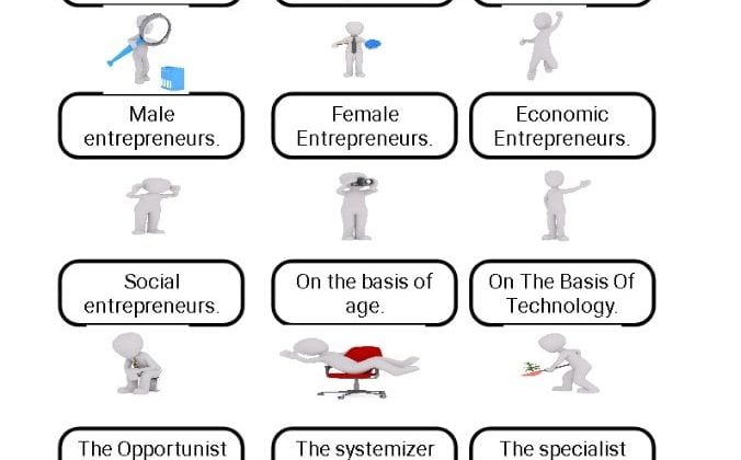 Classification of entrepreneurs,Types of entrepreneurship,Entrepreneurial types,Classified entrepreneurs