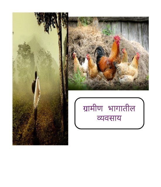 ग्रामीण भागातील व्यवसाय