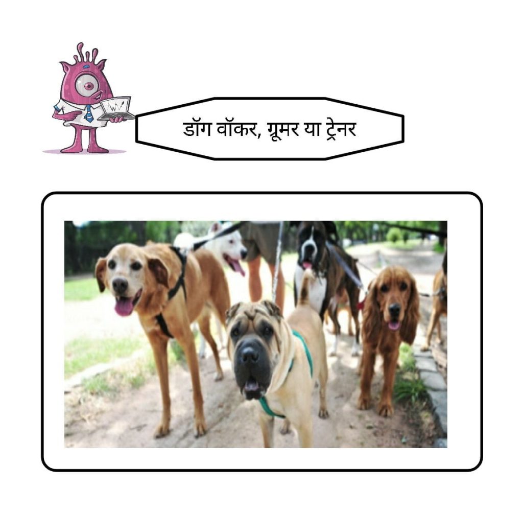Dog walker, groomer or trainer