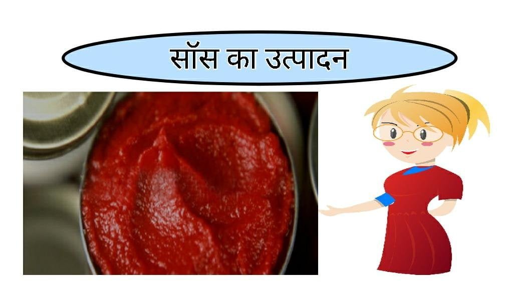 Production of sauce food business ideas in hindi