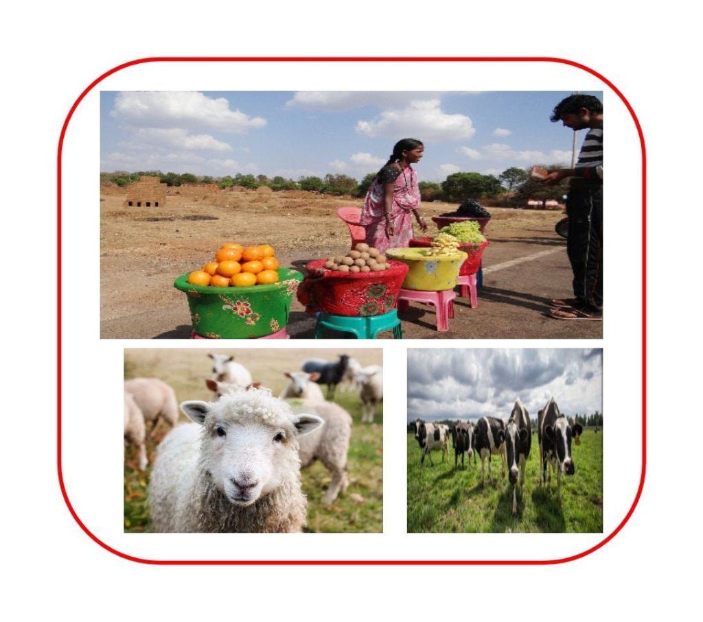 Agriculture business ideas in hindi