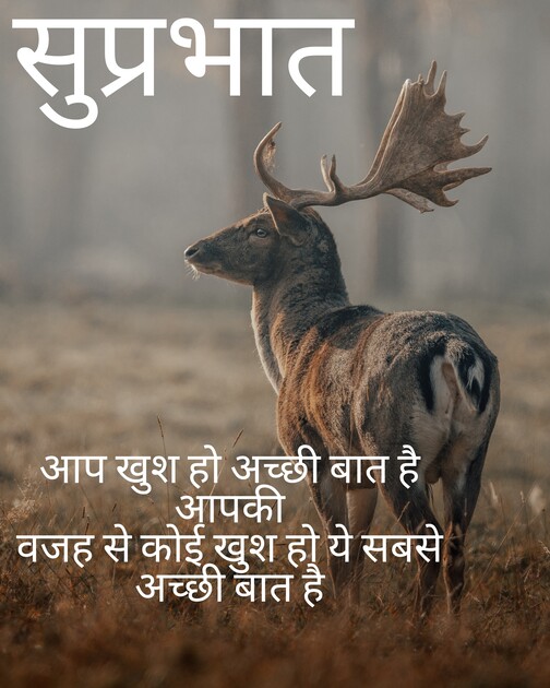 Good Morning Quotes In Hindi, Wishes, Greetings, Instagram / WhatsApp Messages and Images. 