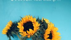 Good Morning Quotes In Hindi, Wishes, Greetings, Instagram / WhatsApp Messages and Images.