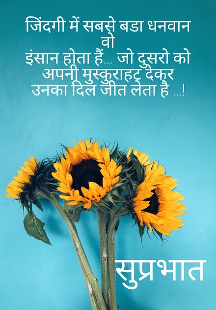Good Morning Quotes In Hindi, Wishes, Greetings, Instagram / WhatsApp Messages and Images.