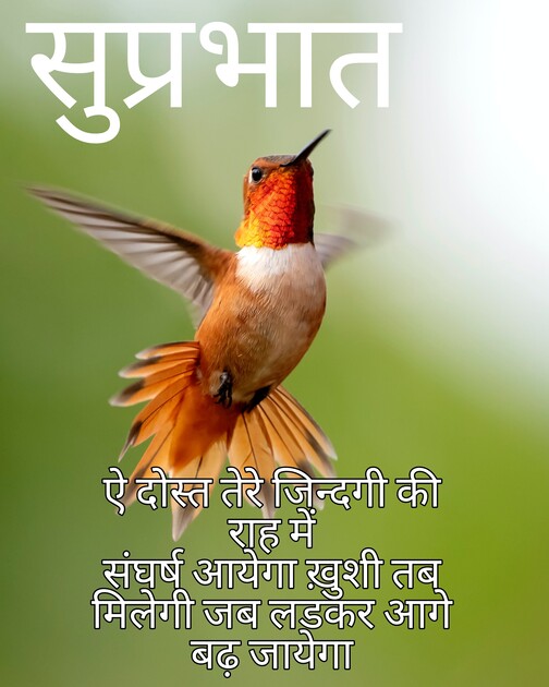 Good Morning Quotes In Hindi, Wishes, Greetings, Instagram / WhatsApp Messages and Images.