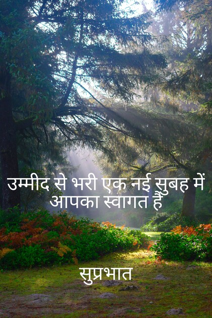 Best Good Morning Quotes in Hindi, Wishes, Greetings,quotes, Text, One line, Find Good Morning WhatsApp messages, best hd Good morning text on image.