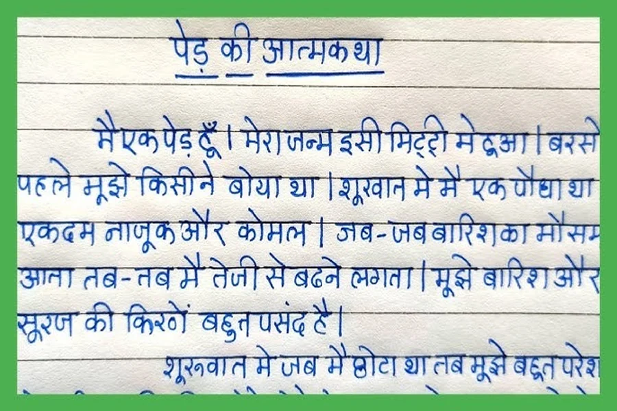 एक पेड़ का आत्मकथात्मक निबंध