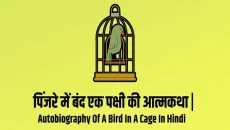 Autobiography Fox In A Cage Hindi Essay