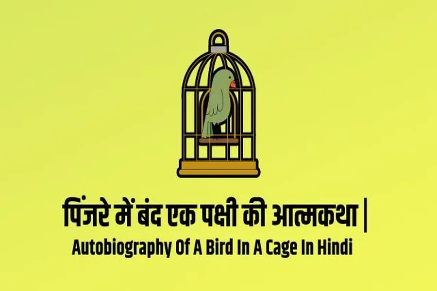 Autobiography Fox In A Cage Hindi Essay