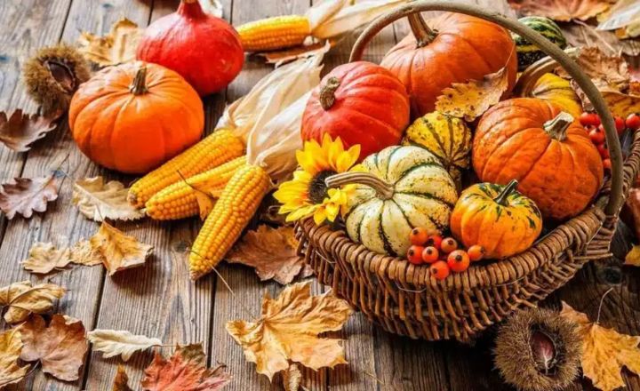 Thanksgiving Team Names