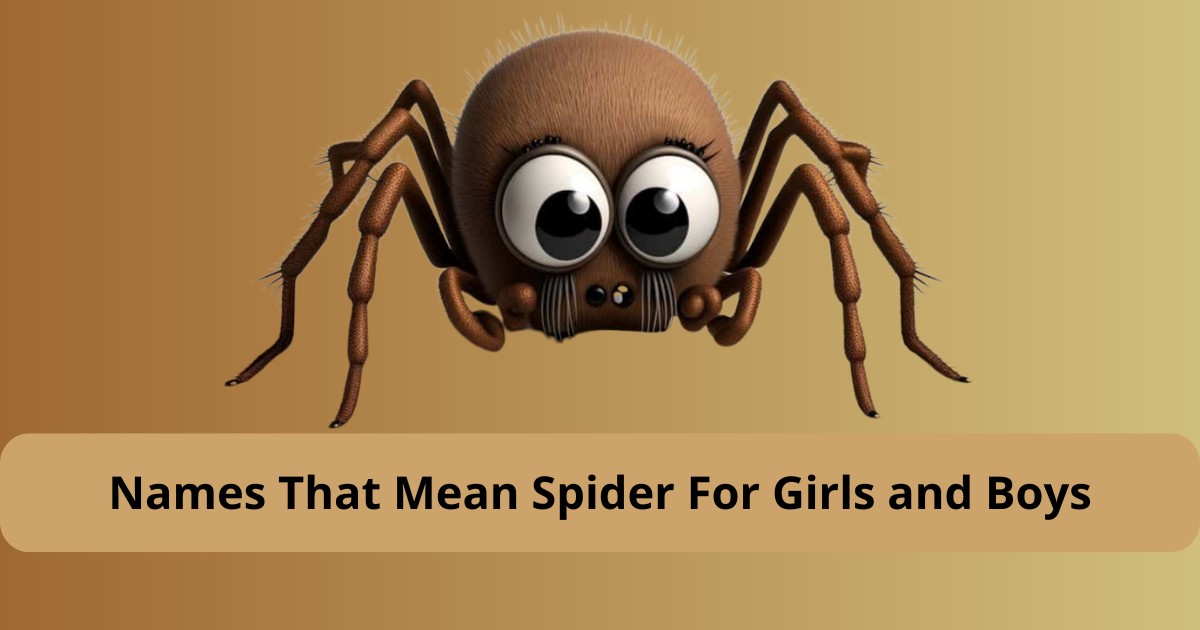 Names That Mean Spider