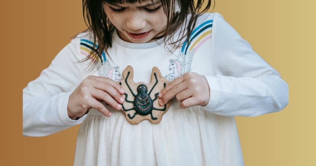 Spider name In Different Regions