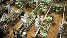 Packaging System
