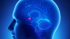 Risk and Reward Emotional Mechanics.