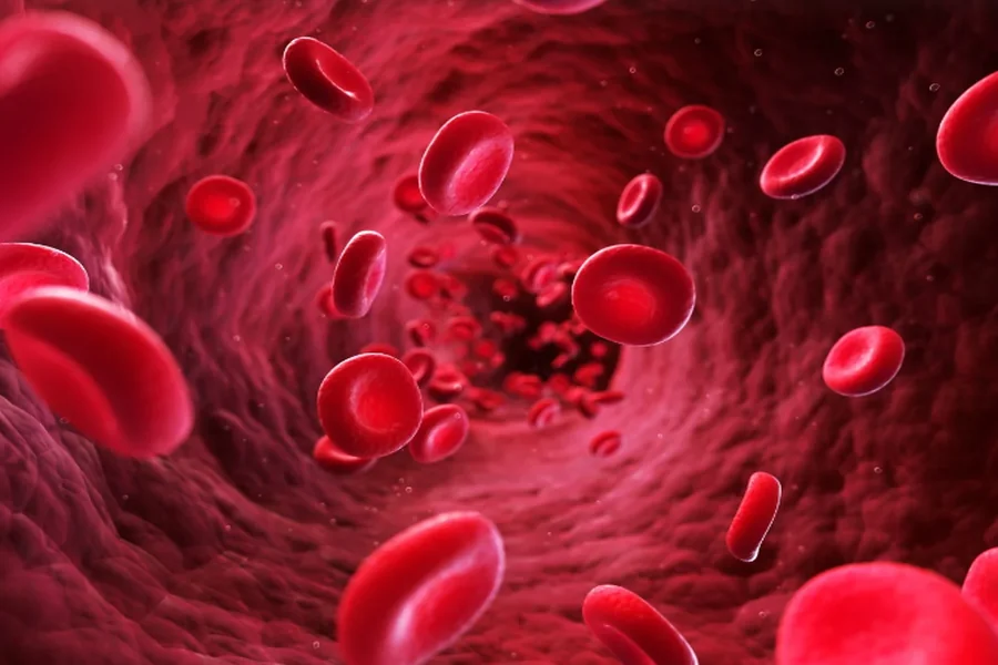 Plasma Protein Binding Assay