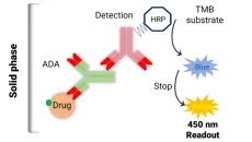 Immunogenicity