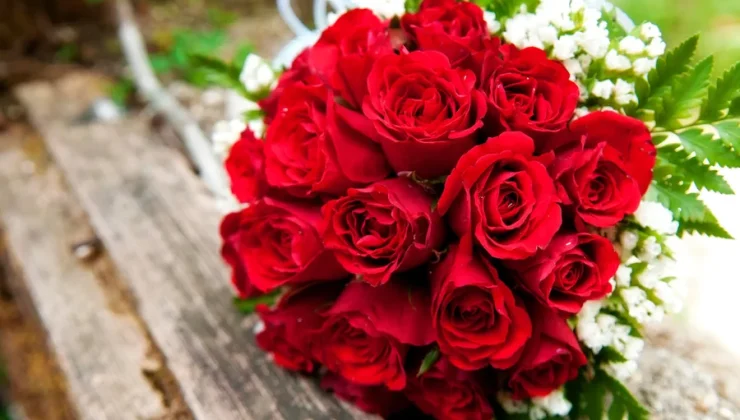 Top Flower Picks