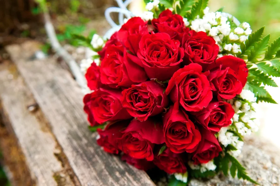 Top Flower Picks