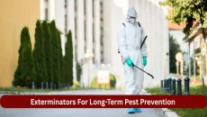 Pest Prevention