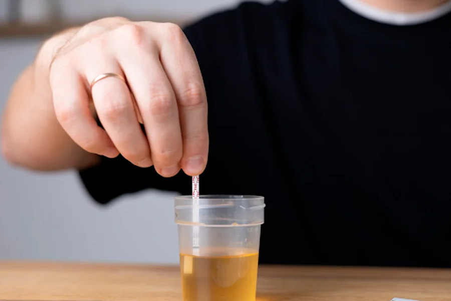 How Exploro Made At-Home THC Testing Easy and Available for Everyone 