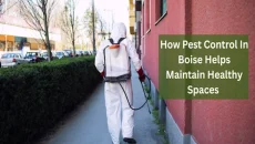 How Pest Control In Boise Helps Maintain Healthy Spaces