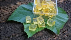 CBD Gummies