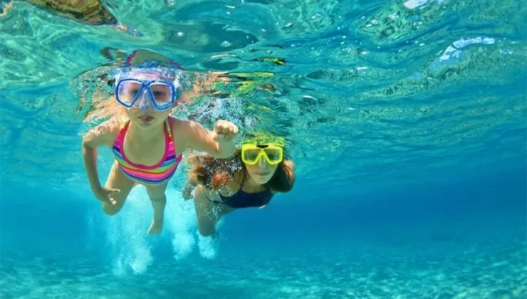 Beginner Snorkelers