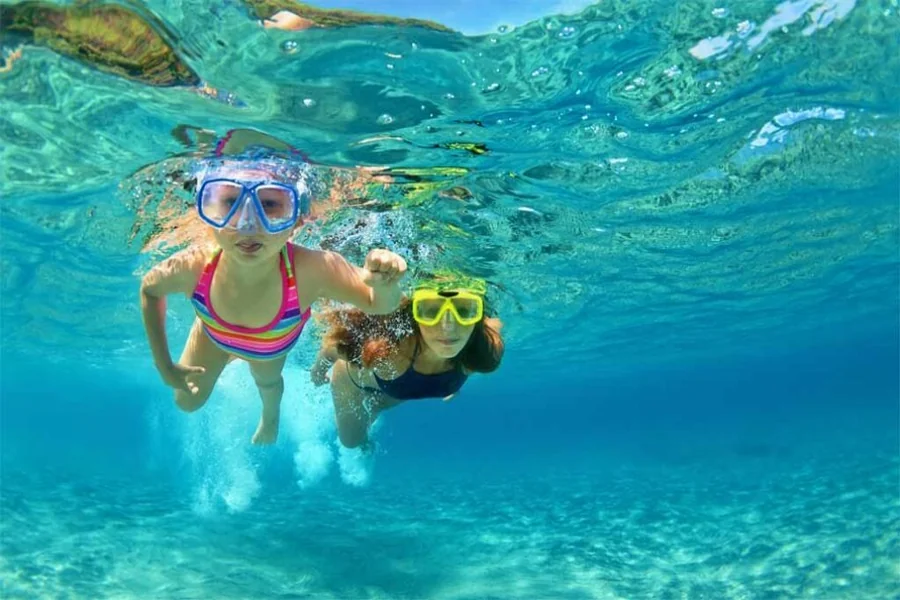 Beginner Snorkelers