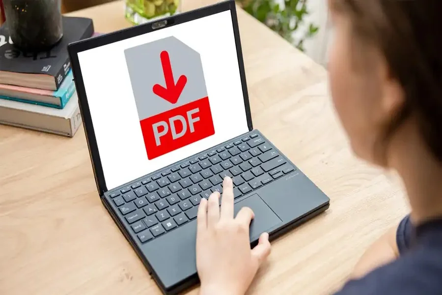 PDF Page