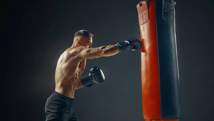 Punching Bag