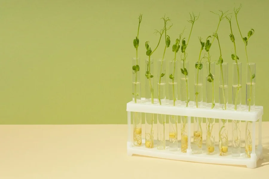 Specialty Plant Genetics
