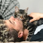 Emotional Support Animal Cat