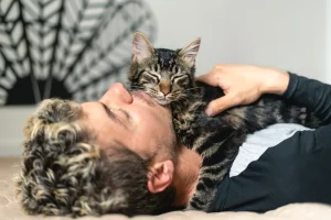 Animal Cat