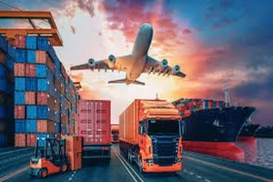 How Transportation and Logistics Software Development Is Transforming Modern Supply Chains